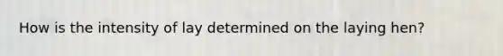 How is the intensity of lay determined on the laying hen?