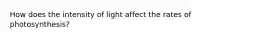 How does the intensity of light affect the rates of photosynthesis?