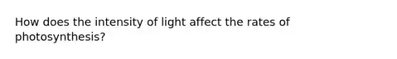 How does the intensity of light affect the rates of photosynthesis?