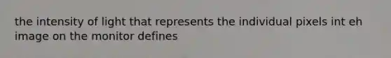 the intensity of light that represents the individual pixels int eh image on the monitor defines