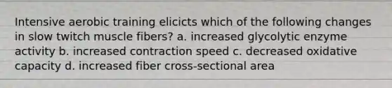 Intensive aerobic training elicicts which of the following changes in slow twitch muscle fibers? a. increased glycolytic enzyme activity b. increased contraction speed c. decreased oxidative capacity d. increased fiber cross-sectional area