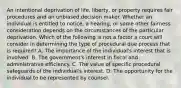 An intentional deprivation of life, liberty, or property requires fair procedures and an unbiased decision maker. Whether an individual is entitled to notice, a hearing, or some other fairness consideration depends on the circumstances of the particular deprivation. Which of the following is not a factor a court will consider in determining the type of procedural due process that is required? A. The importance of the individual's interest that is involved. B. The government's interest in fiscal and administrative efficiency. C. The value of specific procedural safeguards of the individual's interest. D. The opportunity for the individual to be represented by counsel.