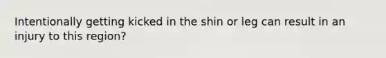 Intentionally getting kicked in the shin or leg can result in an injury to this region?