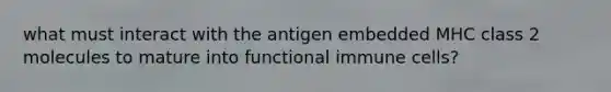 what must interact with the antigen embedded MHC class 2 molecules to mature into functional immune cells?