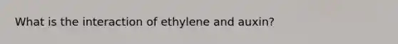 What is the interaction of ethylene and auxin?