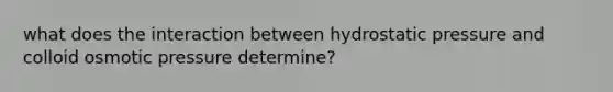 what does the interaction between hydrostatic pressure and colloid osmotic pressure determine?