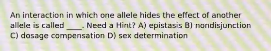 An interaction in which one allele hides the effect of another allele is called ____. Need a Hint? A) epistasis B) nondisjunction C) dosage compensation D) sex determination