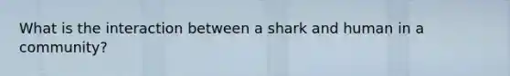 What is the interaction between a shark and human in a community?