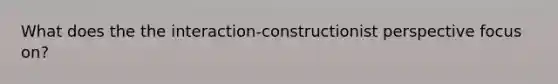 What does the the interaction-constructionist perspective focus on?