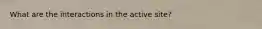 What are the interactions in the active site?