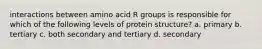 interactions between amino acid R groups is responsible for which of the following levels of protein structure? a. primary b. tertiary c. both secondary and tertiary d. secondary