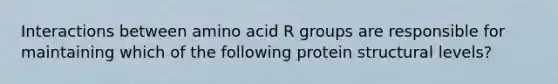 Interactions between amino acid R groups are responsible for maintaining which of the following protein structural levels?