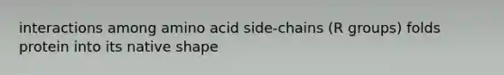 interactions among amino acid side-chains (R groups) folds protein into its native shape