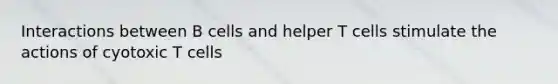 Interactions between B cells and helper T cells stimulate the actions of cyotoxic T cells