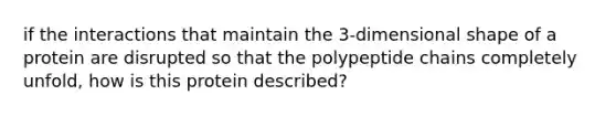 if the interactions that maintain the 3-dimensional shape of a protein are disrupted so that the polypeptide chains completely unfold, how is this protein described?