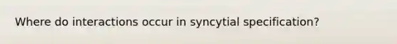 Where do interactions occur in syncytial specification?