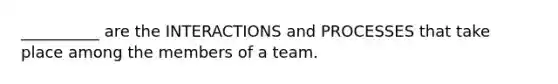 ​__________ are the INTERACTIONS and PROCESSES that take place among the members of a team.