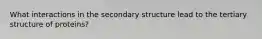 What interactions in the secondary structure lead to the tertiary structure of proteins?