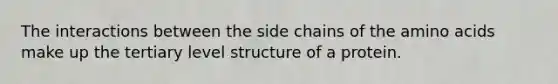 The interactions between the side chains of the amino acids make up the tertiary level structure of a protein.