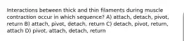 Interactions between thick and thin filaments during muscle contraction occur in which sequence? A) attach, detach, pivot, return B) attach, pivot, detach, return C) detach, pivot, return, attach D) pivot, attach, detach, return