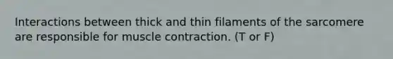 Interactions between thick and thin filaments of the sarcomere are responsible for muscle contraction. (T or F)