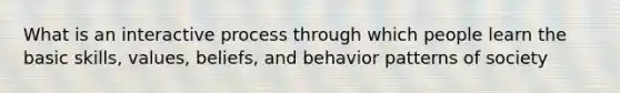 What is an interactive process through which people learn the basic skills, values, beliefs, and behavior patterns of society