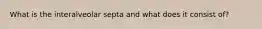 What is the interalveolar septa and what does it consist of?
