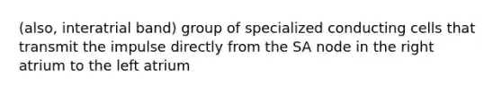 (also, interatrial band) group of specialized conducting cells that transmit the impulse directly from the SA node in the right atrium to the left atrium