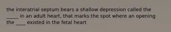 the interatrial septum bears a shallow depression called the _____ in an adult heart, that marks the spot where an opening the ____ existed in the fetal heart