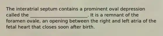 The interatrial septum contains a prominent oval depression called the _________________________. It is a remnant of the foramen ovale, an opening between the right and left atria of the fetal heart that closes soon after birth.