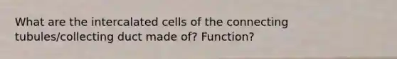 What are the intercalated cells of the connecting tubules/collecting duct made of? Function?