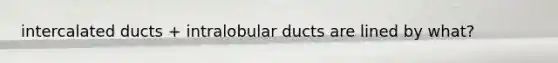 intercalated ducts + intralobular ducts are lined by what?