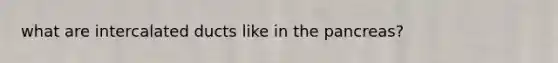 what are intercalated ducts like in the pancreas?
