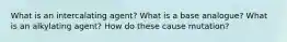 What is an intercalating agent? What is a base analogue? What is an alkylating agent? How do these cause mutation?