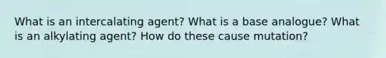 What is an intercalating agent? What is a base analogue? What is an alkylating agent? How do these cause mutation?