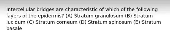 Intercellular bridges are characteristic of which of the following layers of the epidermis? (A) Stratum granulosum (B) Stratum lucidum (C) Stratum corneum (D) Stratum spinosum (E) Stratum basale