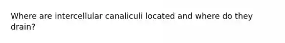 Where are intercellular canaliculi located and where do they drain?