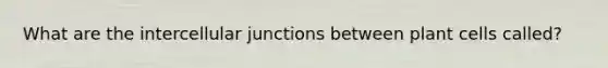 What are the intercellular junctions between plant cells called?