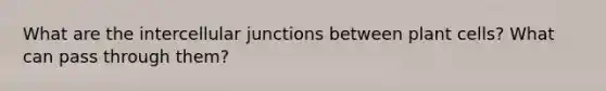 What are the intercellular junctions between plant cells? What can pass through them?