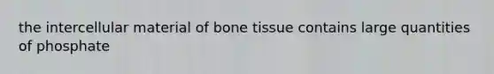 the intercellular material of bone tissue contains large quantities of phosphate