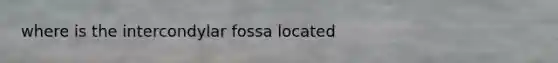 where is the intercondylar fossa located