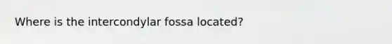 Where is the intercondylar fossa located?