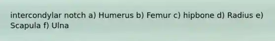 intercondylar notch a) Humerus b) Femur c) hipbone d) Radius e) Scapula f) Ulna