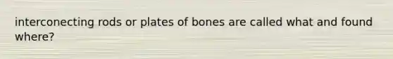 interconecting rods or plates of bones are called what and found where?