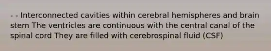 - - Interconnected cavities within cerebral hemispheres and brain stem The ventricles are continuous with the central canal of the spinal cord They are filled with cerebrospinal fluid (CSF)