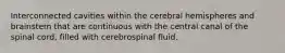 Interconnected cavities within the cerebral hemispheres and brainstem that are continuous with the central canal of the spinal cord, filled with cerebrospinal fluid.