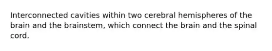 Interconnected cavities within two cerebral hemispheres of the brain and the brainstem, which connect the brain and the spinal cord.