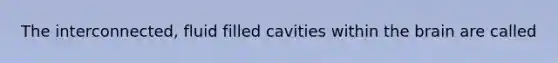 The interconnected, fluid filled cavities within the brain are called