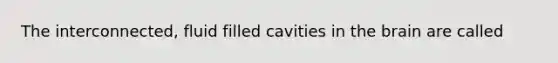 The interconnected, fluid filled cavities in the brain are called