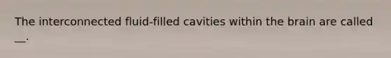 The interconnected fluid-filled cavities within the brain are called __.